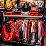 pitbull galeria amber