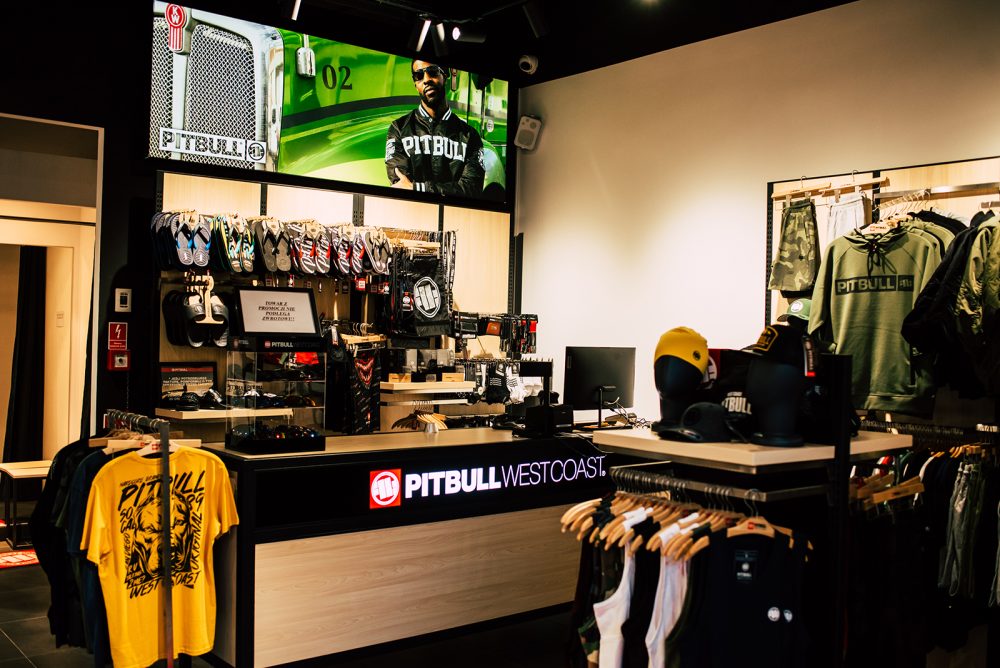 pitbull galeria amber