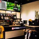 pitbull galeria amber