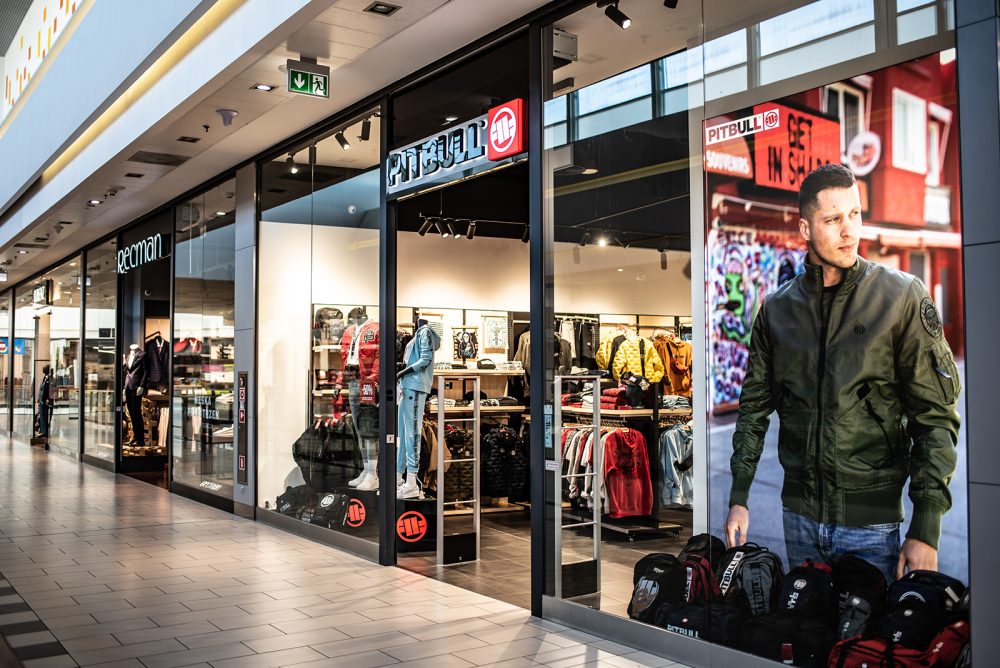 pitbull galeria amber