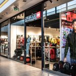 pitbull galeria amber