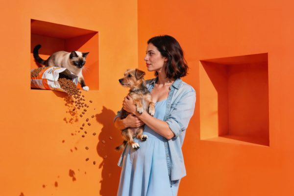 pet friendly galeria amber