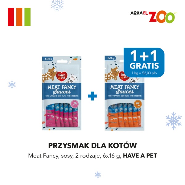 Kreacja graficzna przedstawiająca ofertę „Międzynarodowy Dzień Kota” w sklepie Aquael ZOO