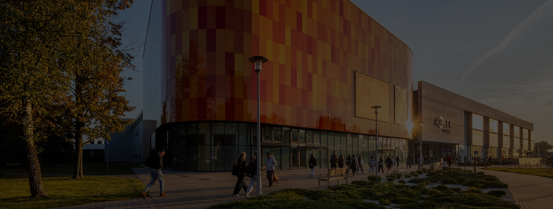 zdjęcie galerii amber