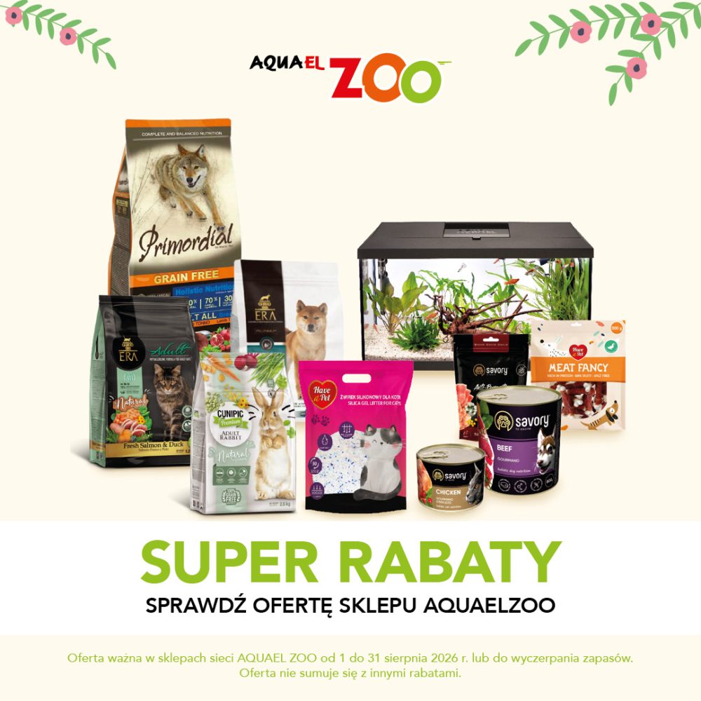 super rabaty promocje aquael zoo galeria amber